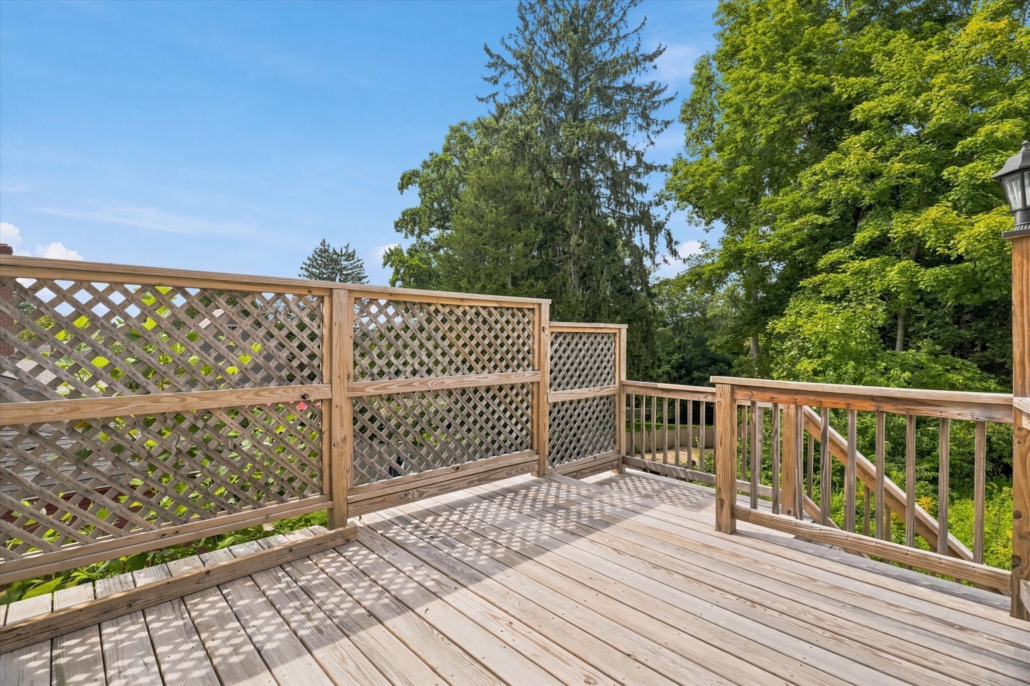 58 Morton Street # A Property Photo 8