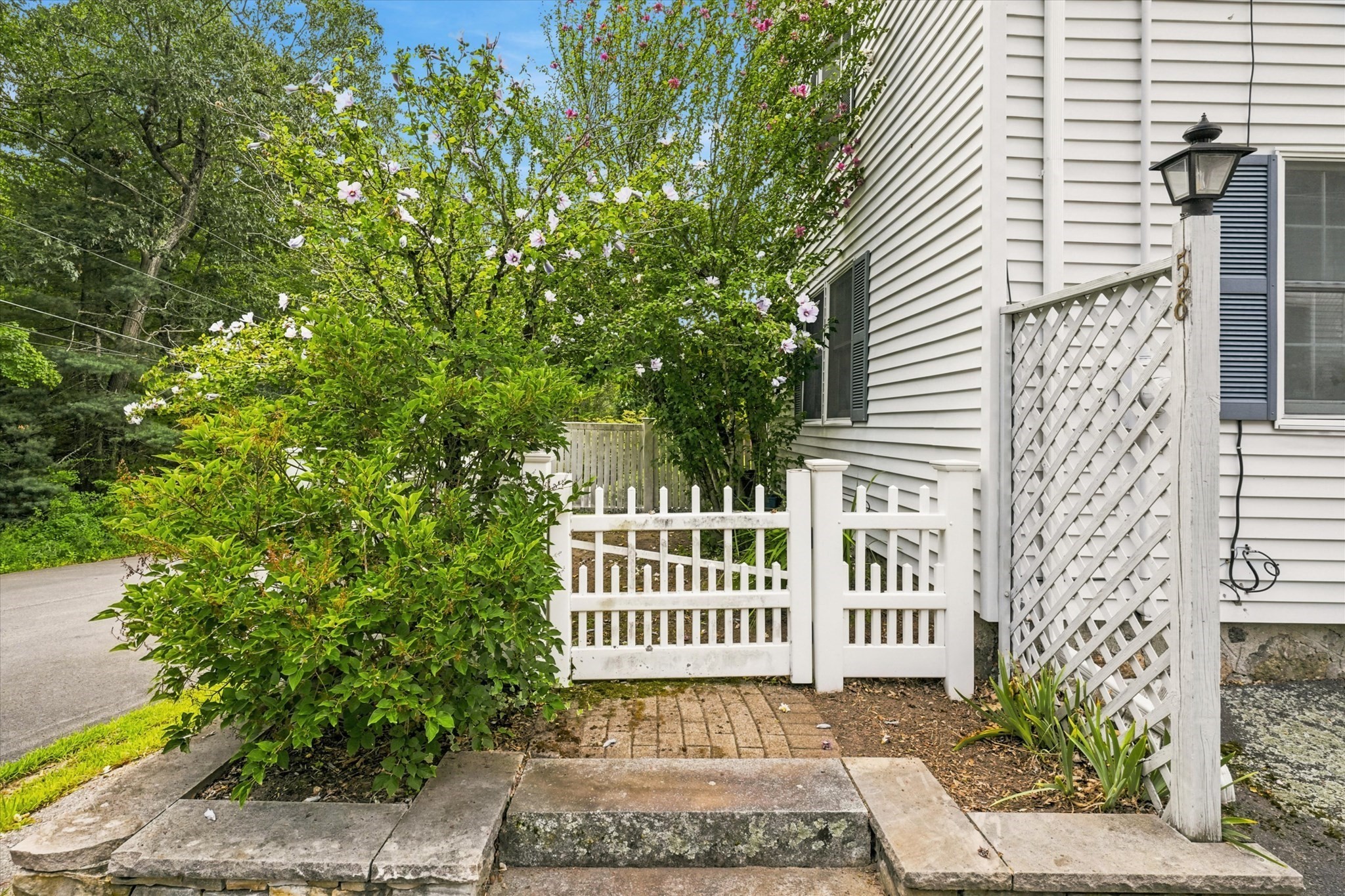58 Morton Street # A Property Photo 31