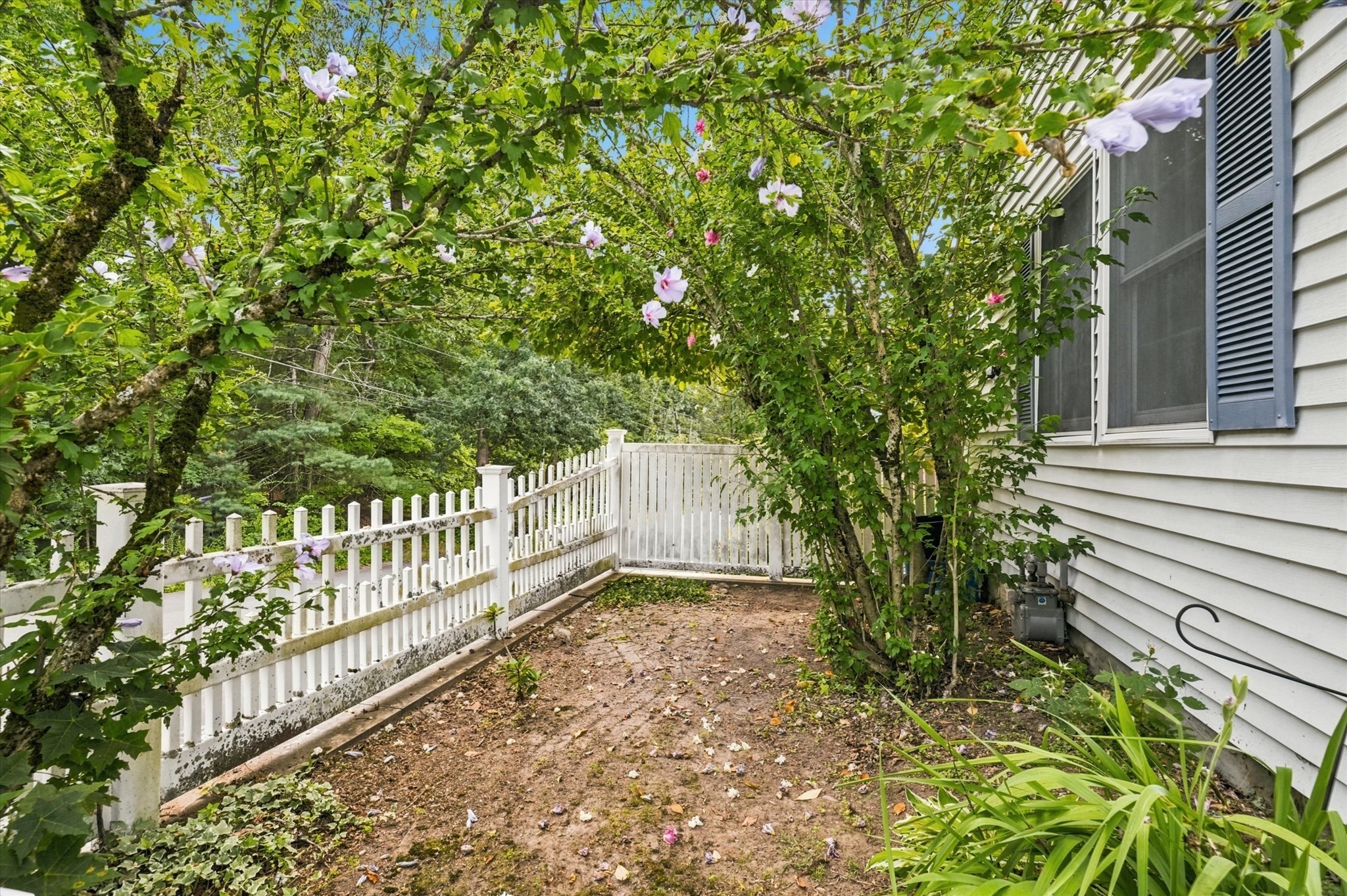 58 Morton Street # A Property Photo 32