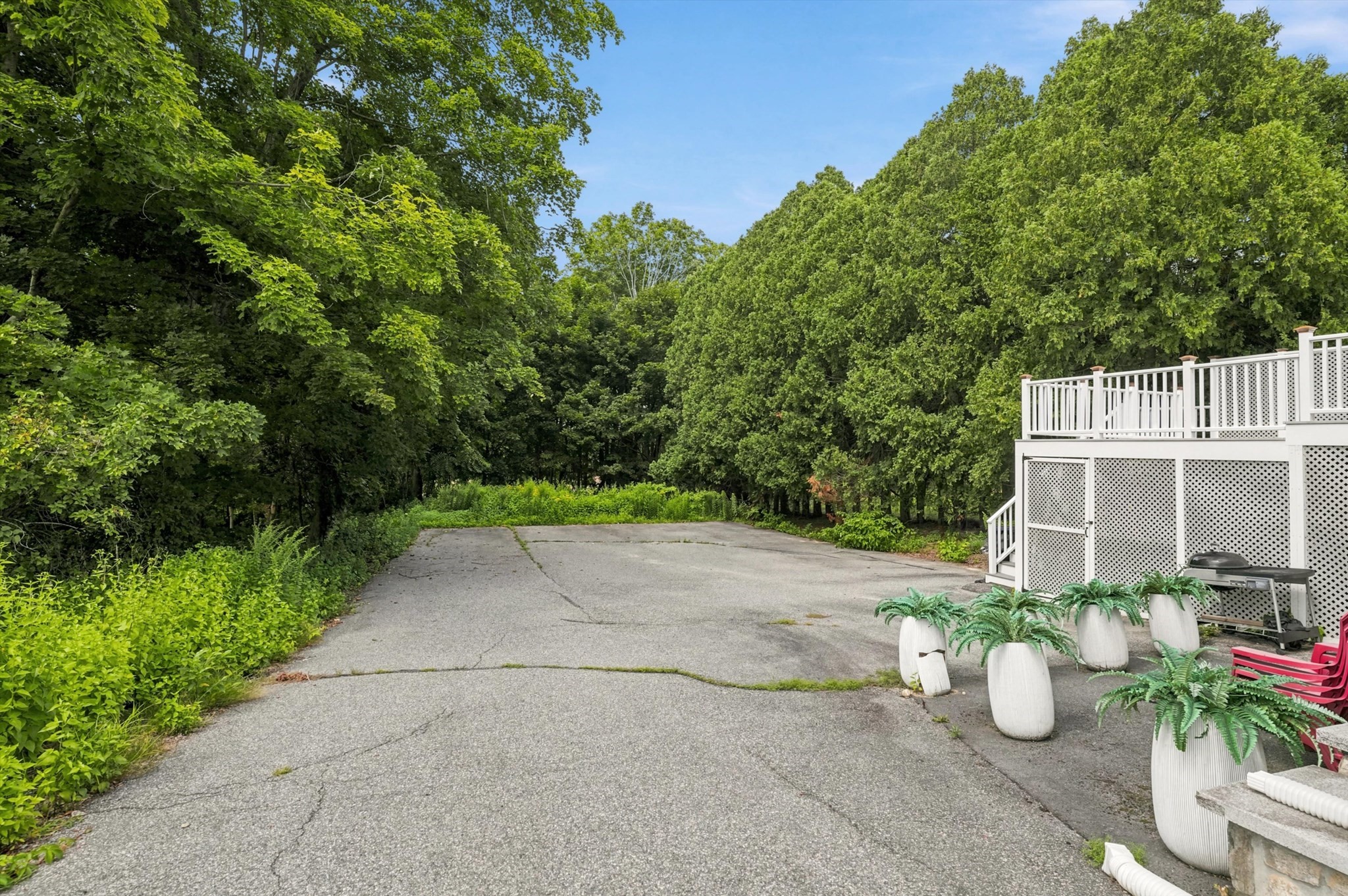 58 Morton Street # A Property Photo 36