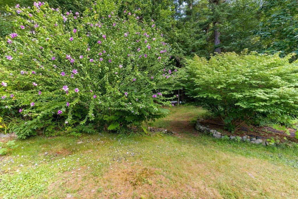 41 Everett St Property Photo 6