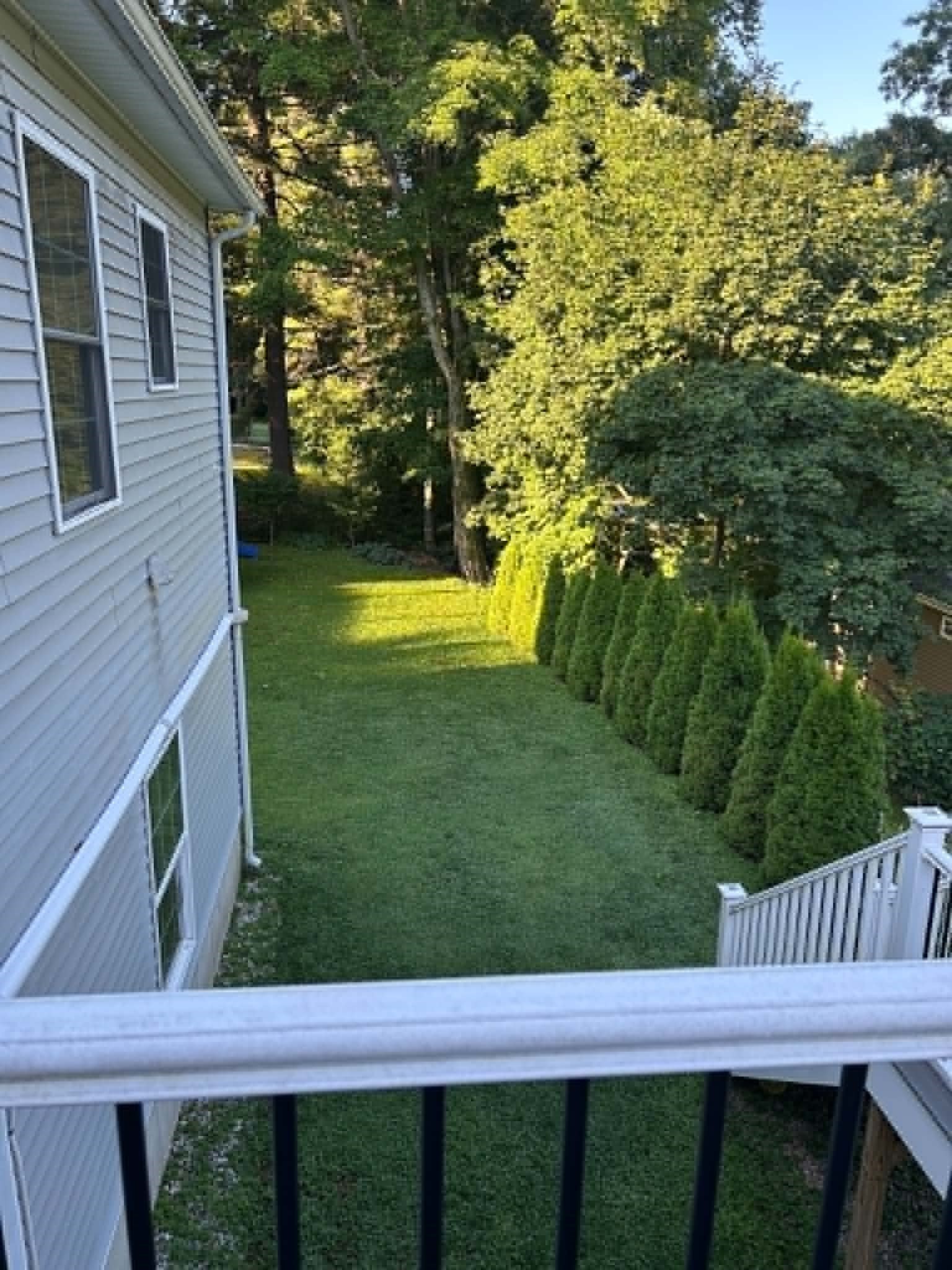 19 Chipman St Property Photo 18