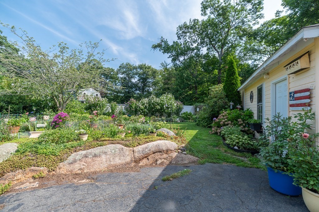 19 Brimbal Avenue Property Photo 3