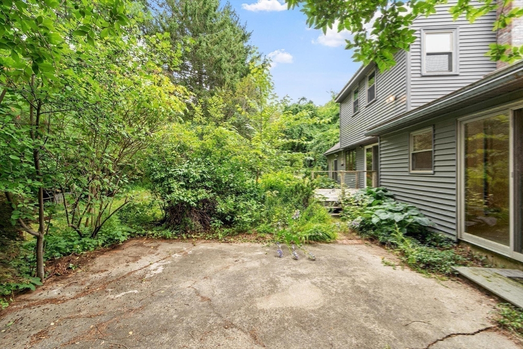 26 Searle Property Photo 3