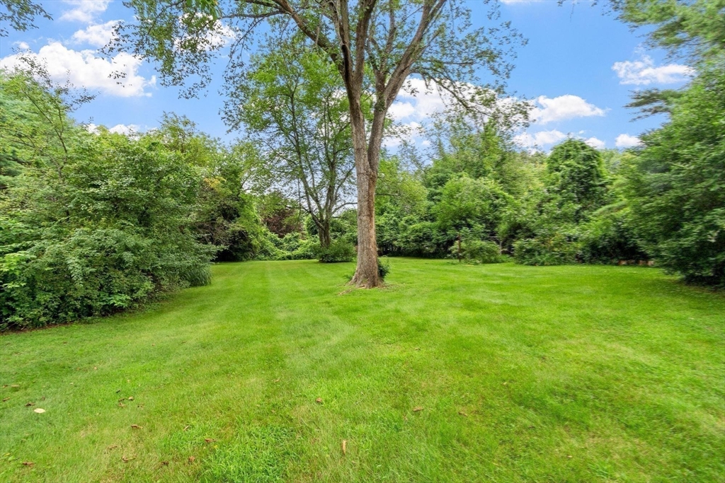 26 Searle Property Photo 4