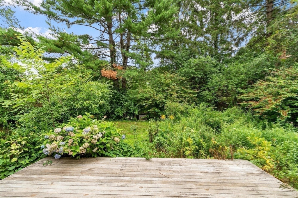 26 Searle Property Photo 30