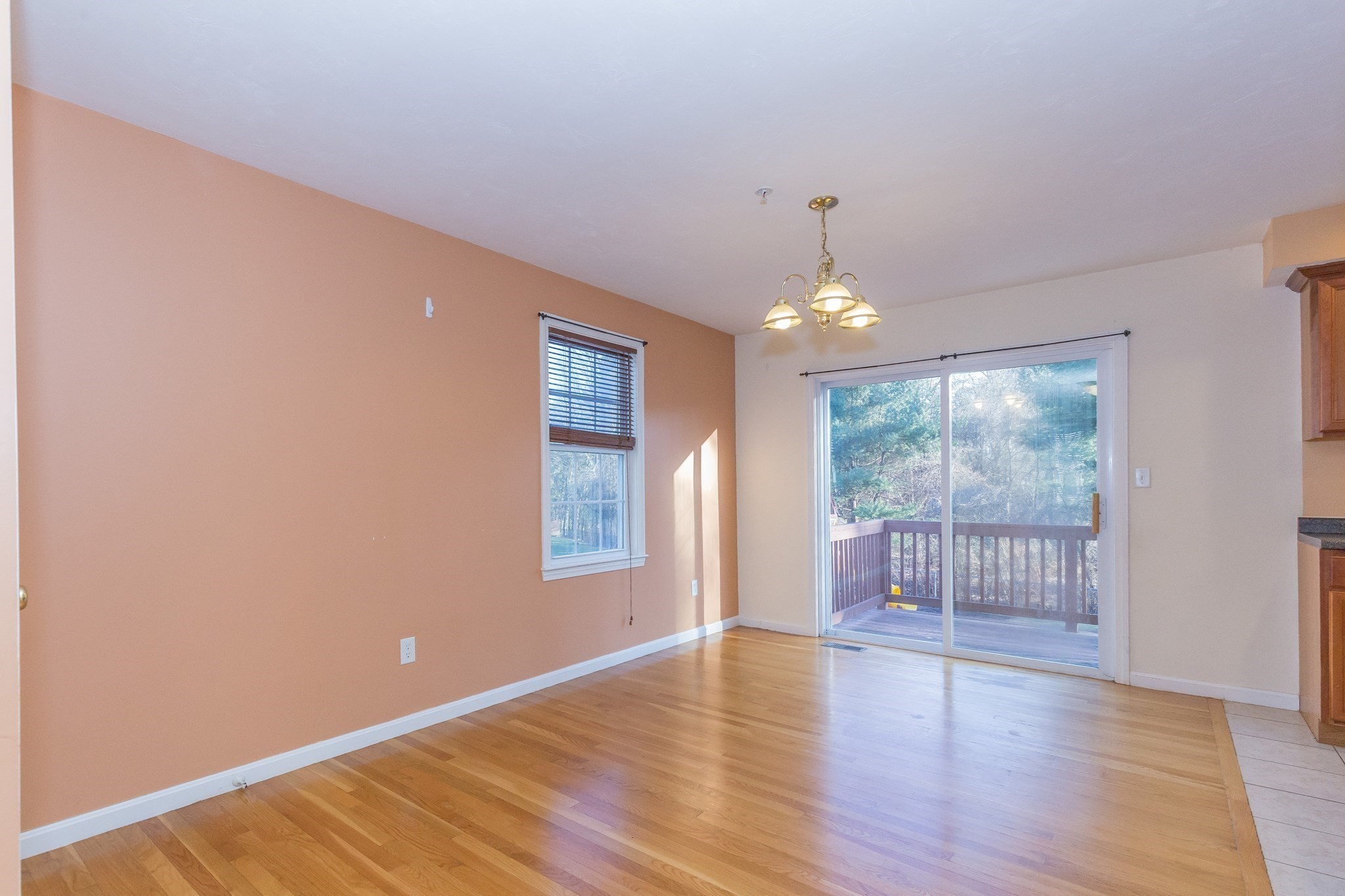 100 Nutting Road # D1 Property Photo 8