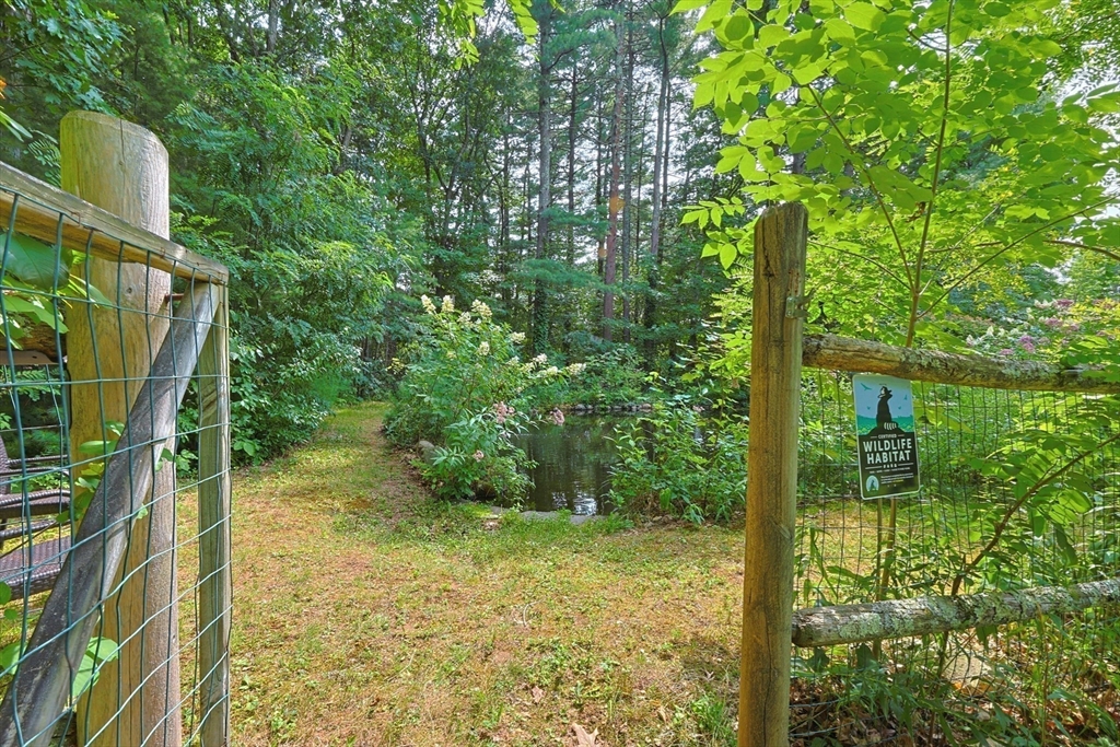157 Taunton St Property Photo 28