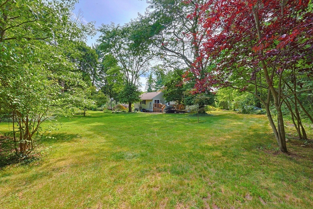 157 Taunton St Property Photo 30