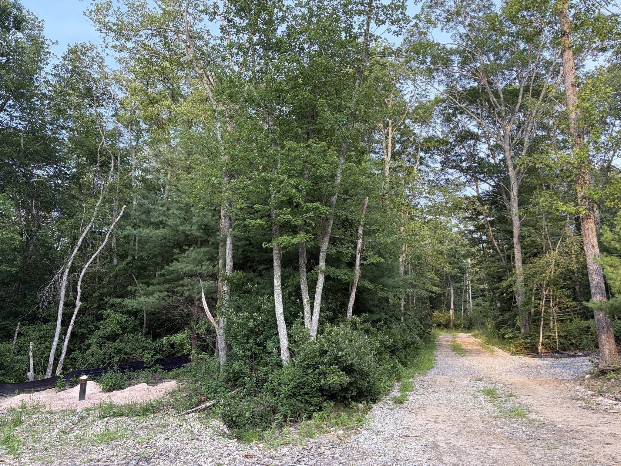 6 Peters Farm Lane Property Photo 3