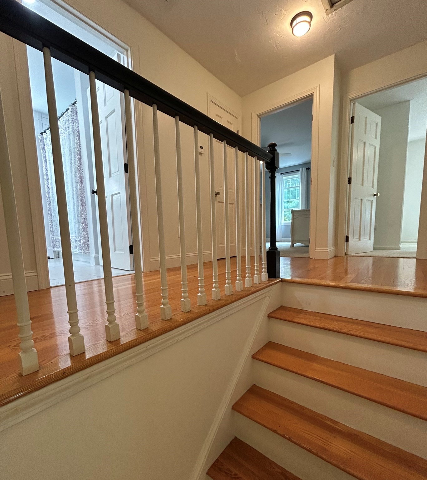 73 Maynard St Property Photo 4