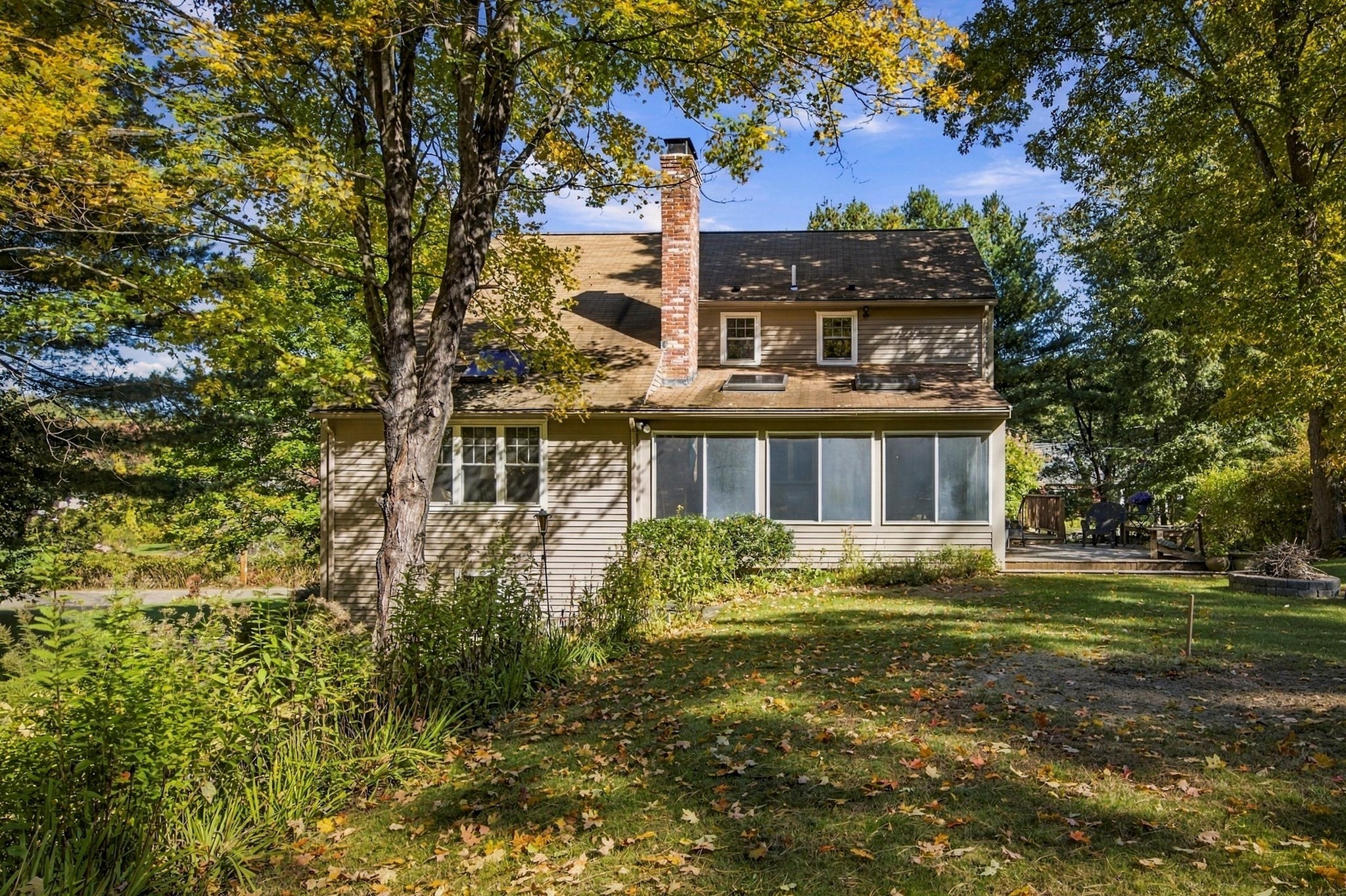 73 Maynard St Property Photo 6