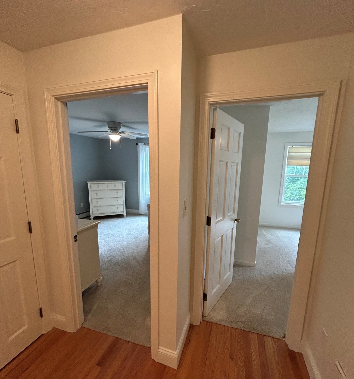 73 Maynard St Property Photo 10