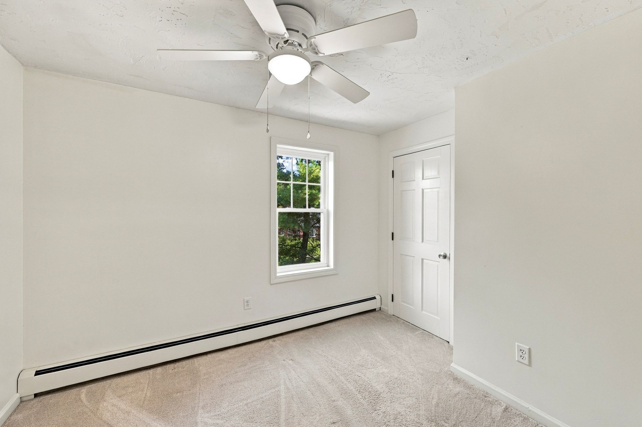 73 Maynard St Property Photo 34