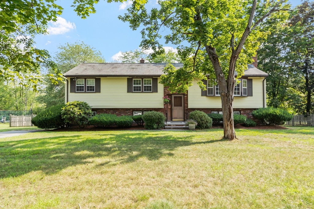 10 Gearty St
