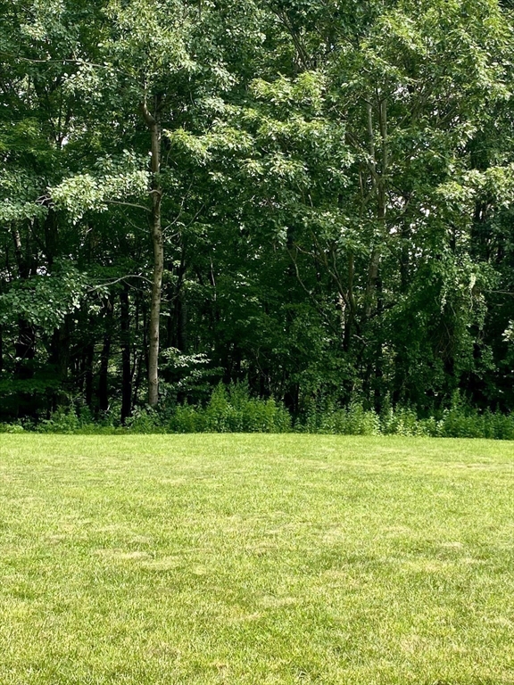 543 Jones Hill Rd Property Photo 38