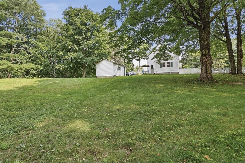 14 Carr Street Property Photo 29