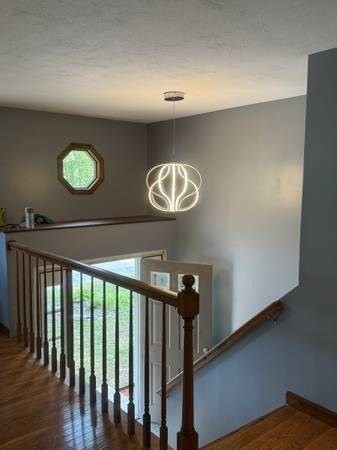 84 Catherine Street Property Photo 7