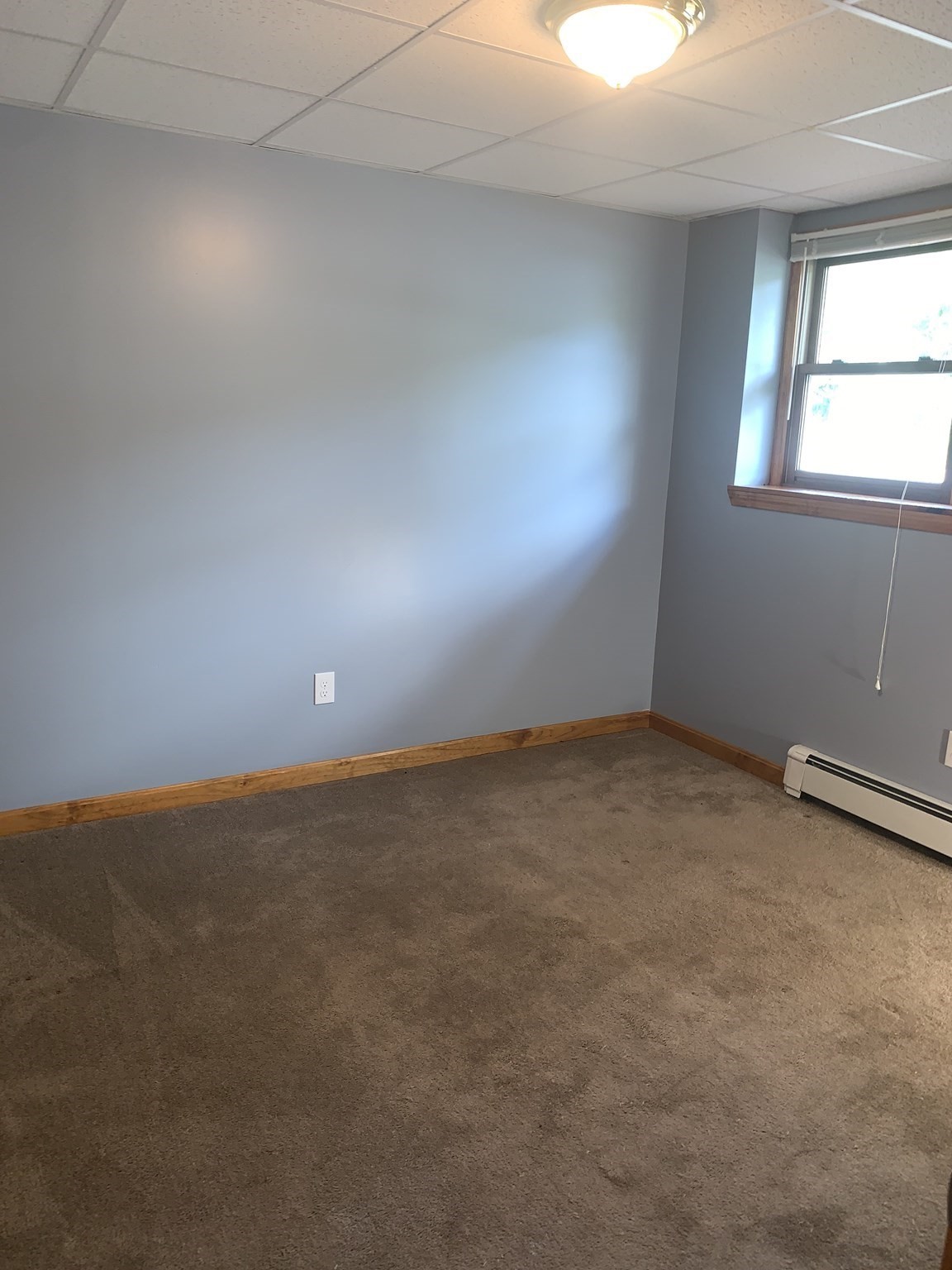 84 Catherine Street Property Photo 22