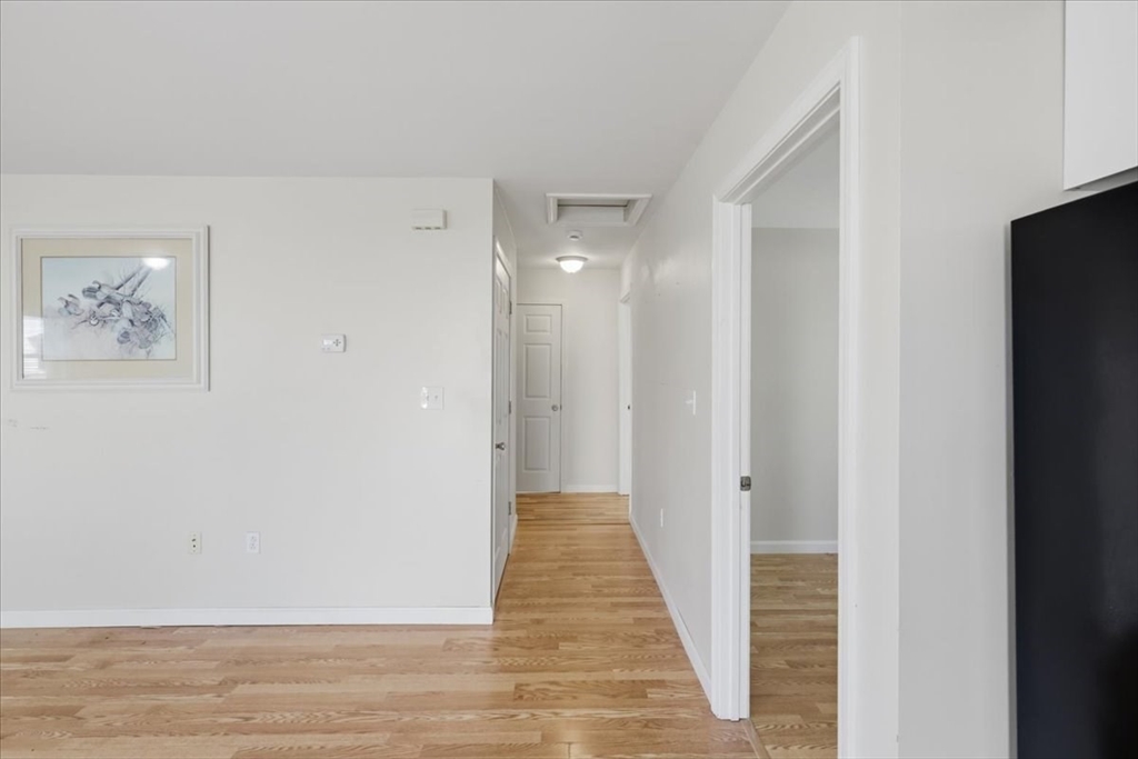 1033 Rodman St Property Photo 18