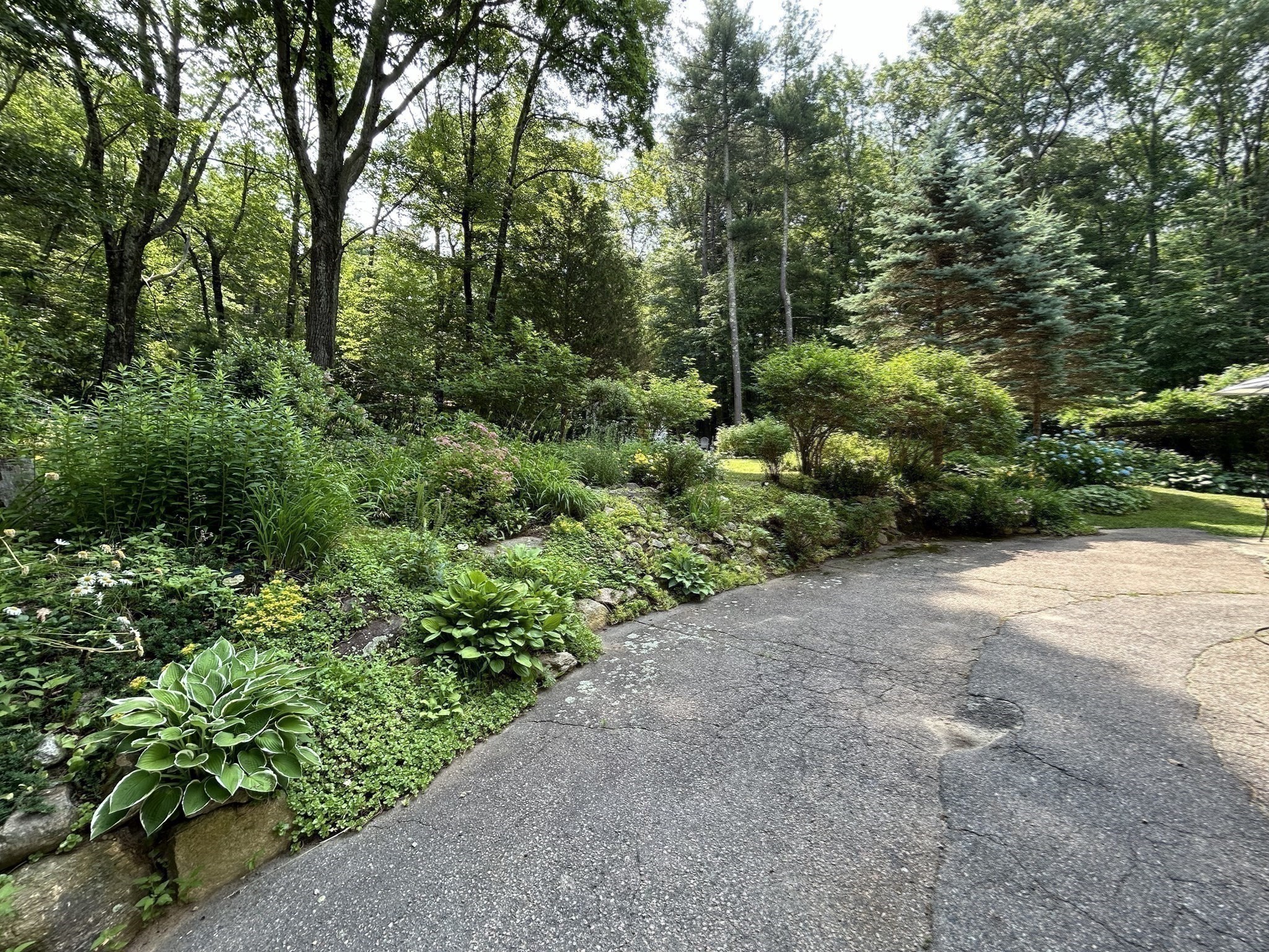 16 Yale Rd Property Photo 18