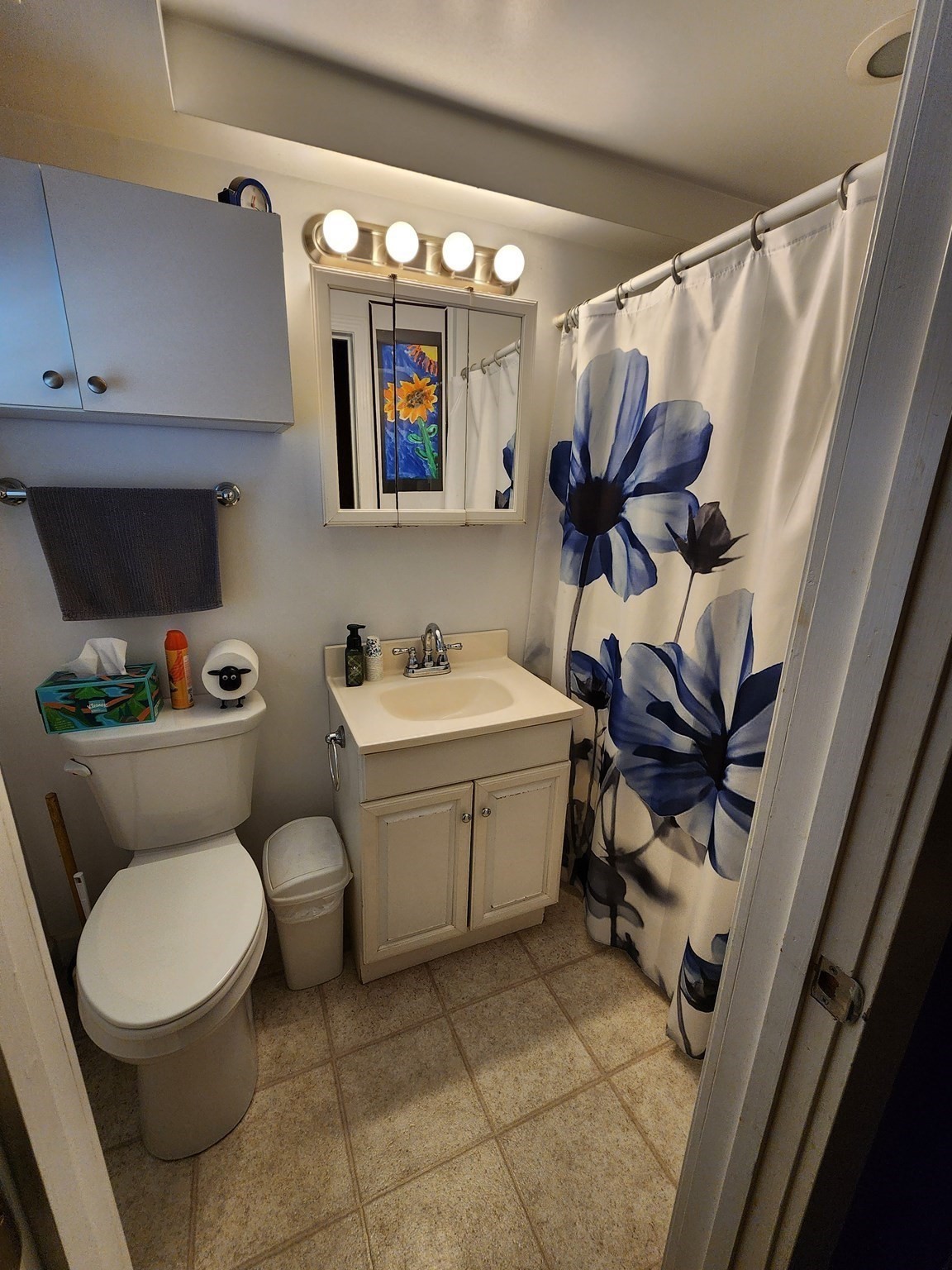 1009 Maple Street Property Photo 11