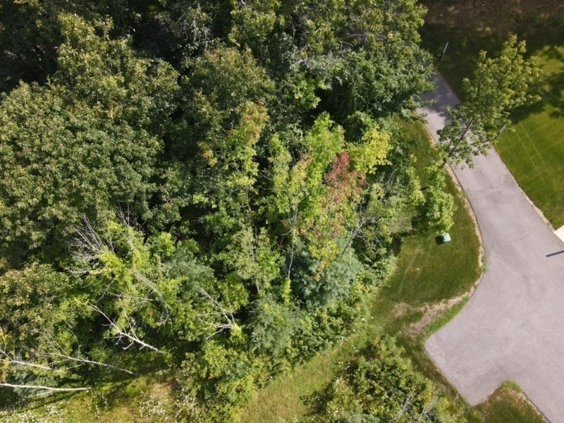 4b Mccarthy Rd Property Photo 38