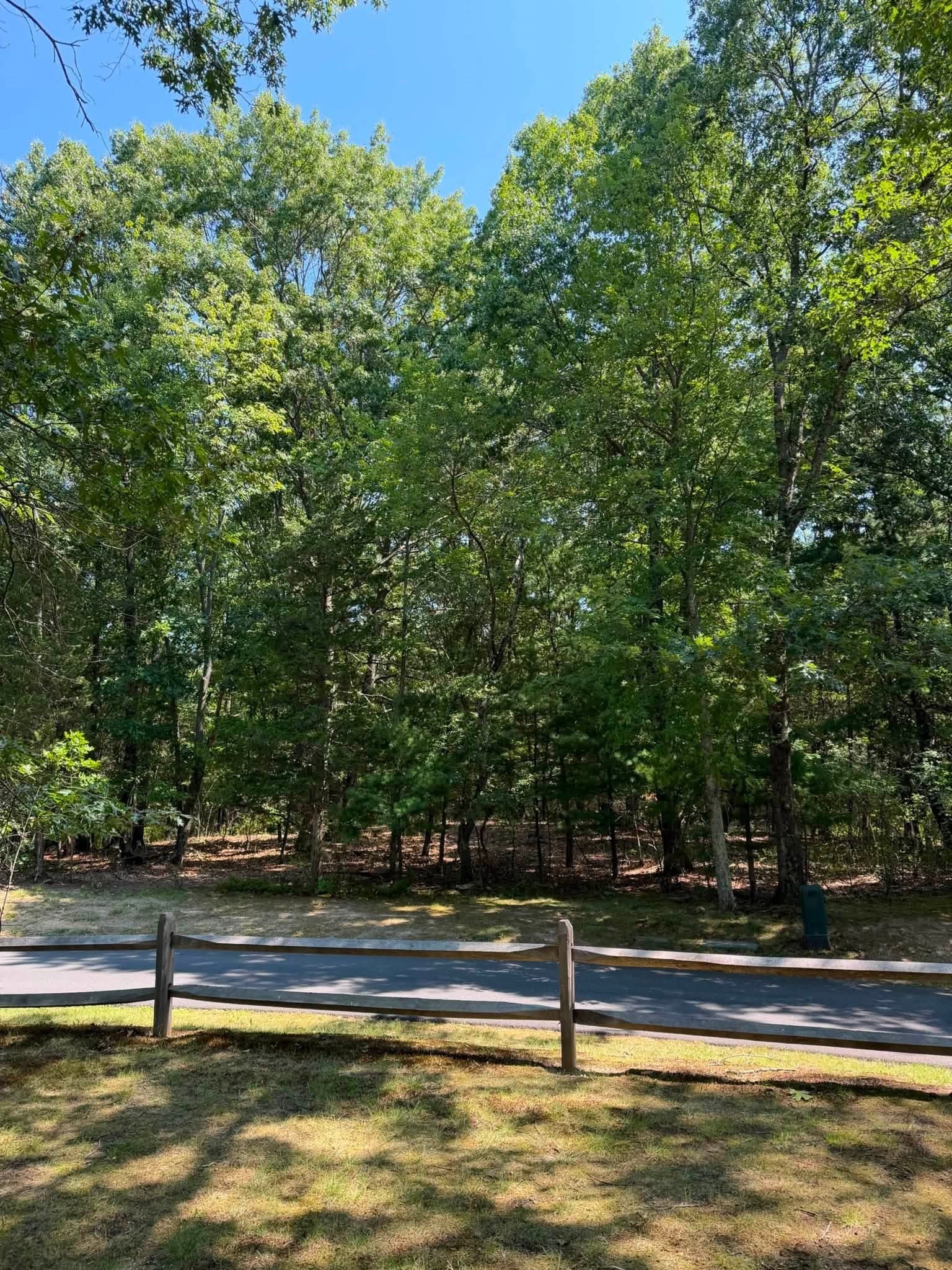 3 Reiling Pond Road Property Photo 3