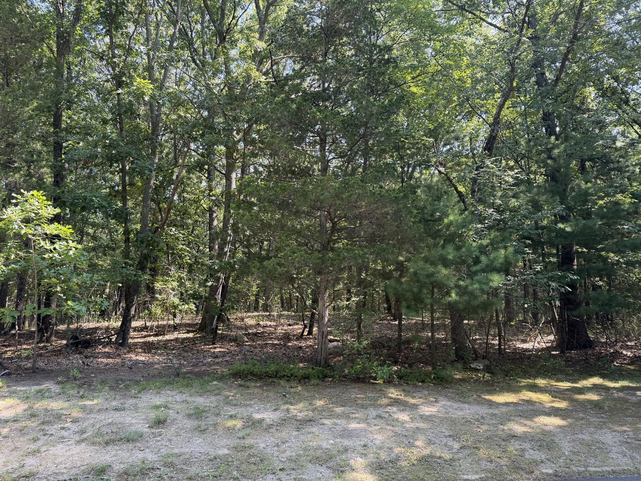 3 Reiling Pond Road Property Photo 7