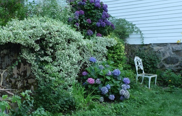 12 Bassett Street Property Photo 34