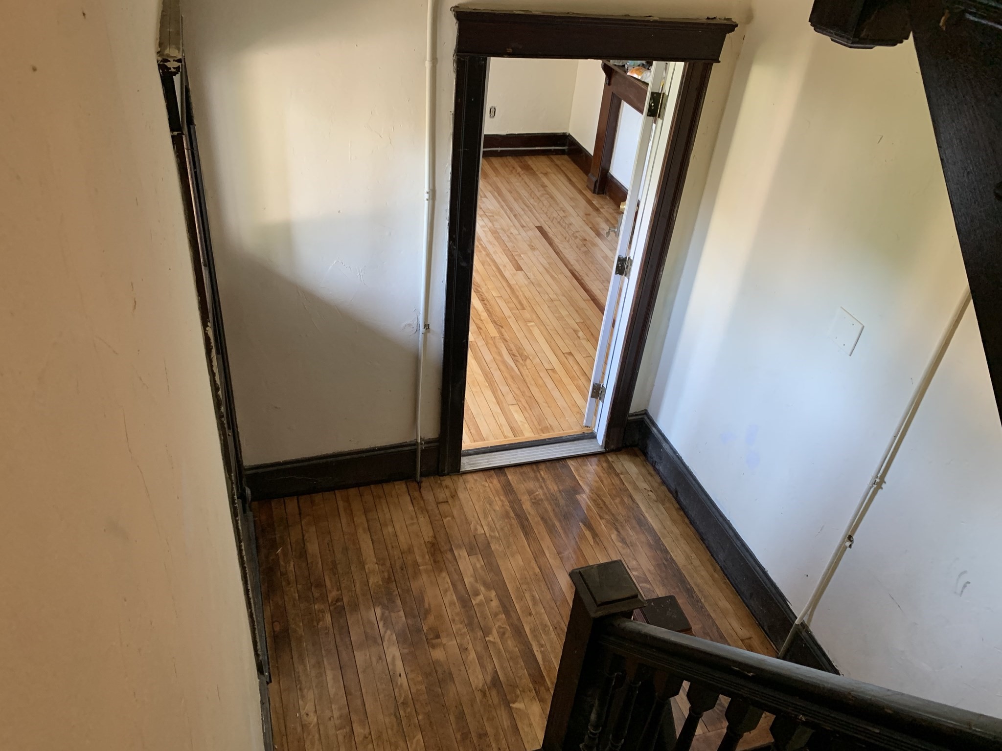 11 Diamond St Property Photo 16