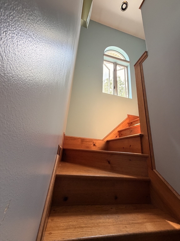 446 Lindsey St Property Photo 18