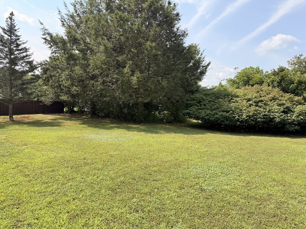 446 Lindsey St Property Photo 22