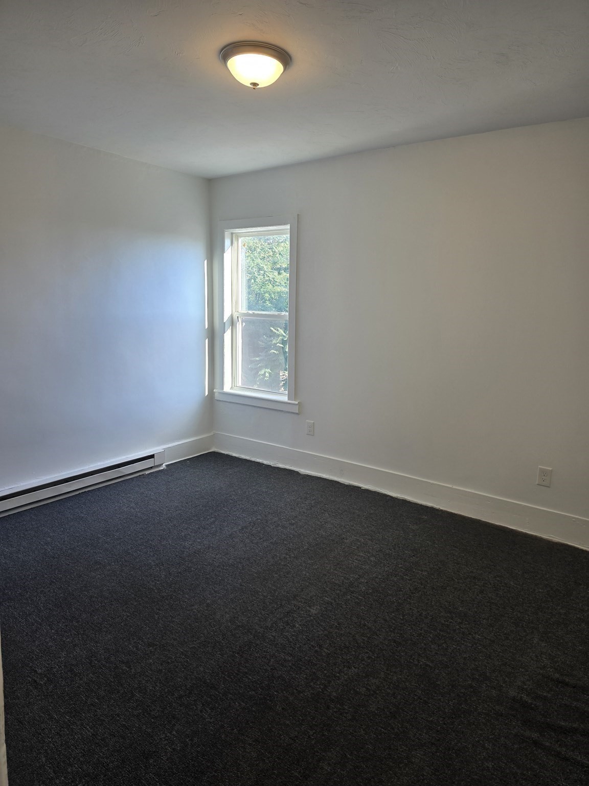 205 Millbury St # F Property Photo 7
