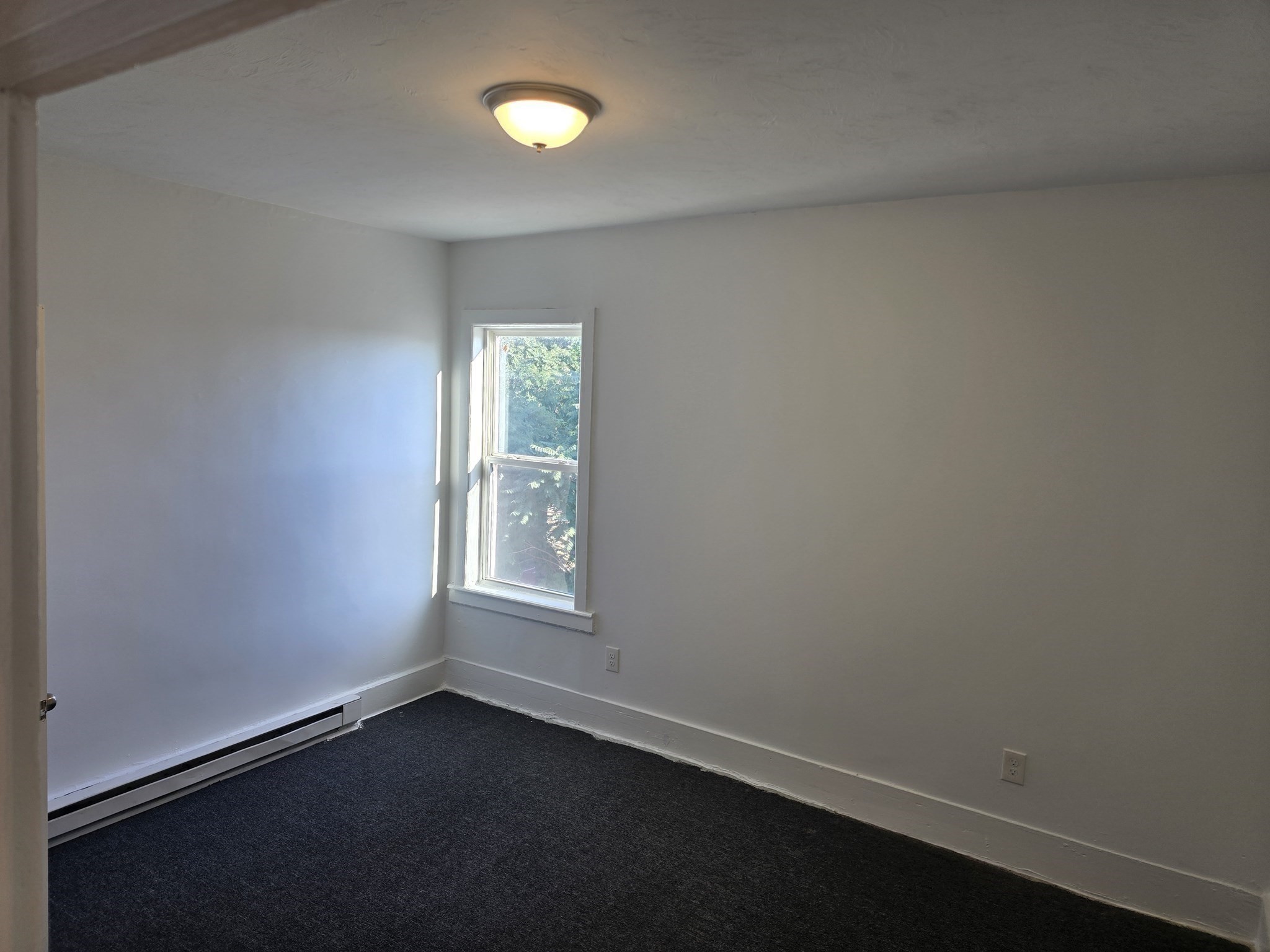 205 Millbury St # F Property Photo 8