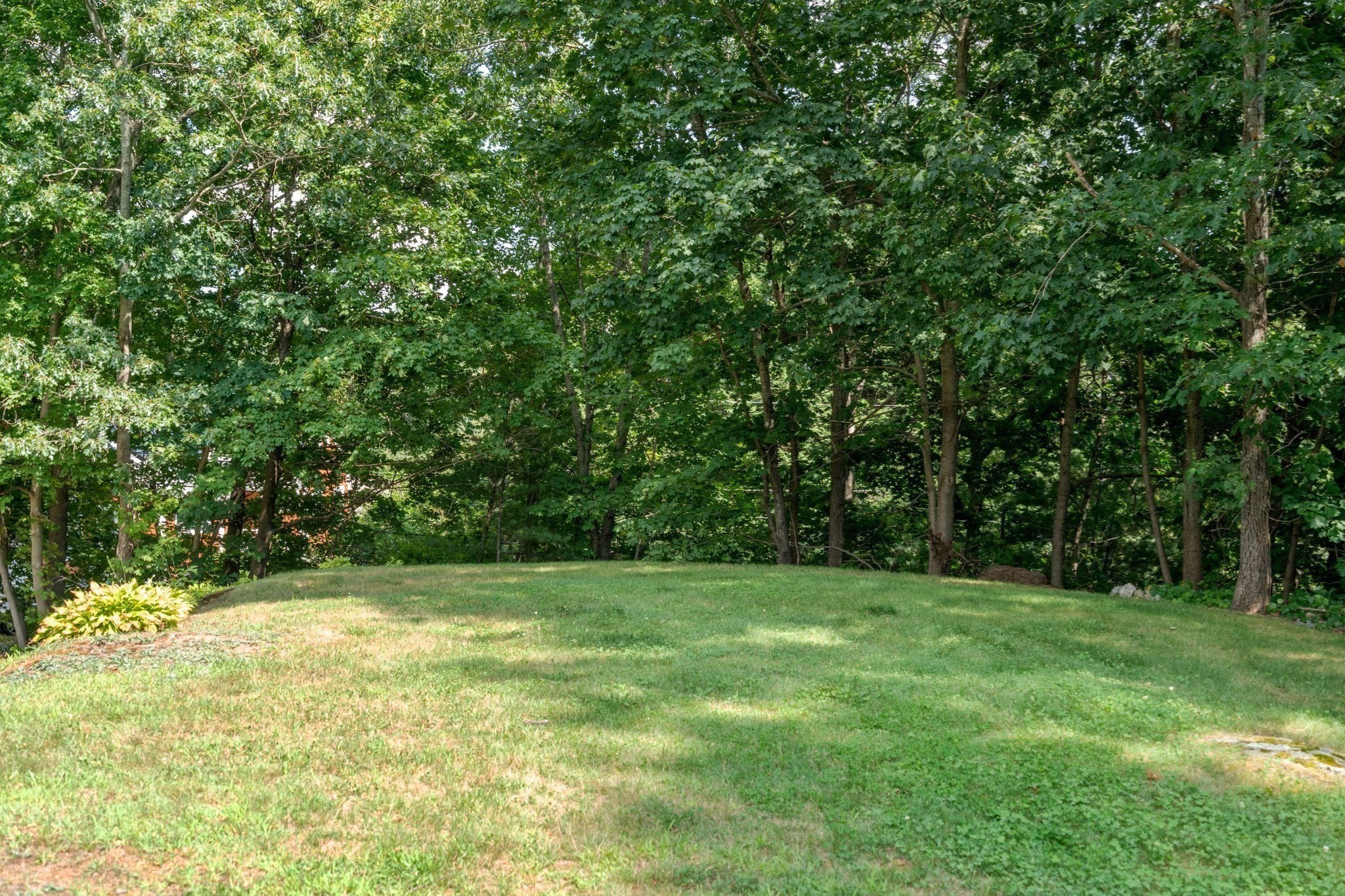 42 Pine Swamp Property Photo 32