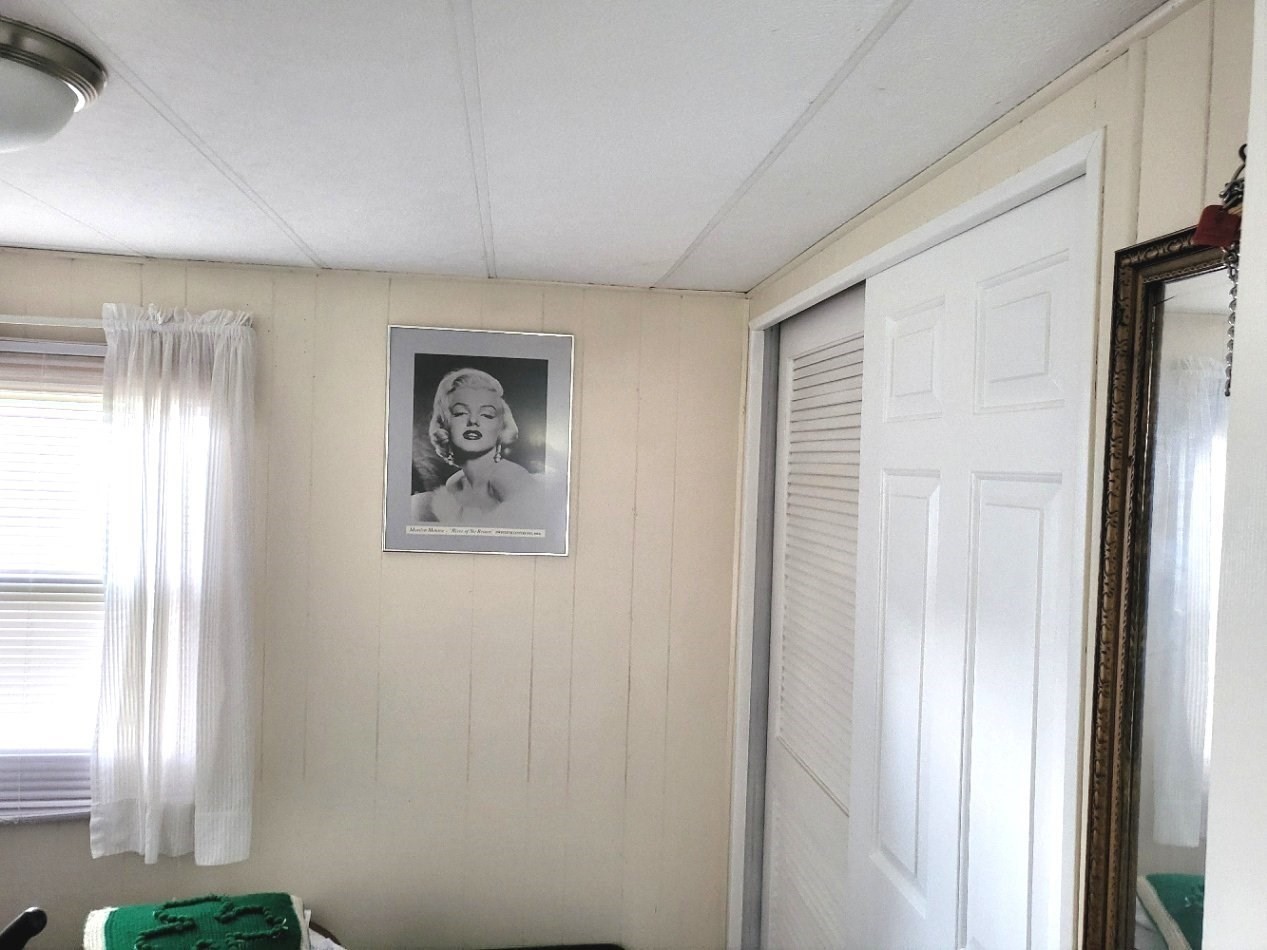 6 Forestdale Drive Property Photo 12
