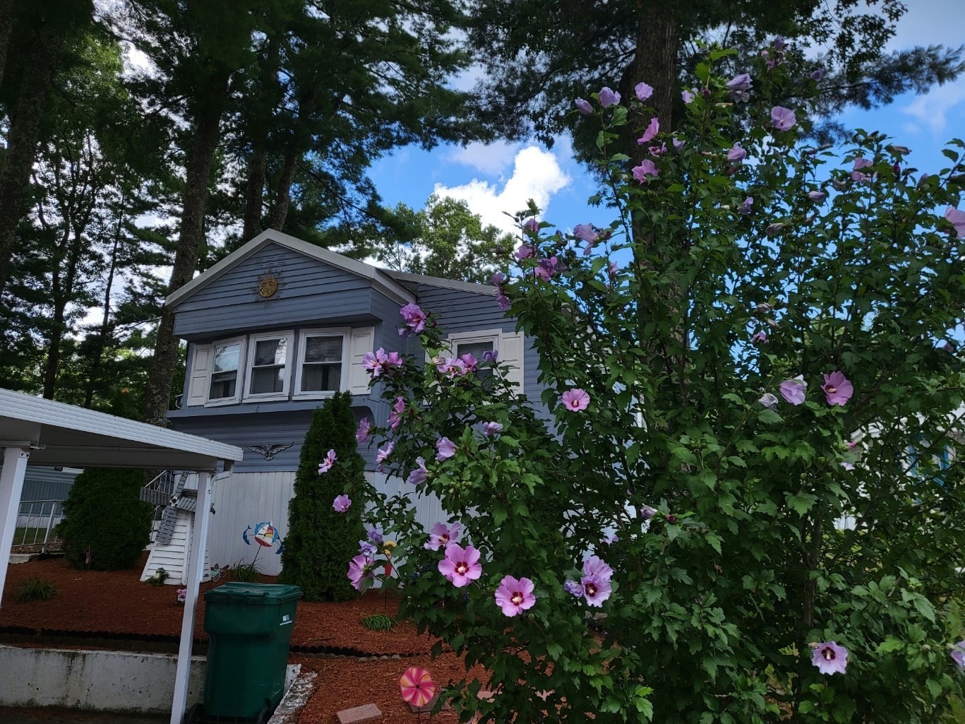 6 Forestdale Drive Property Photo 15