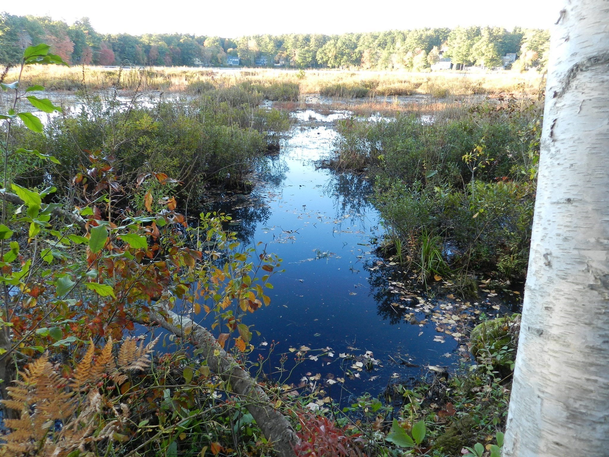 52 Sandy Pond Rd Property Photo 2
