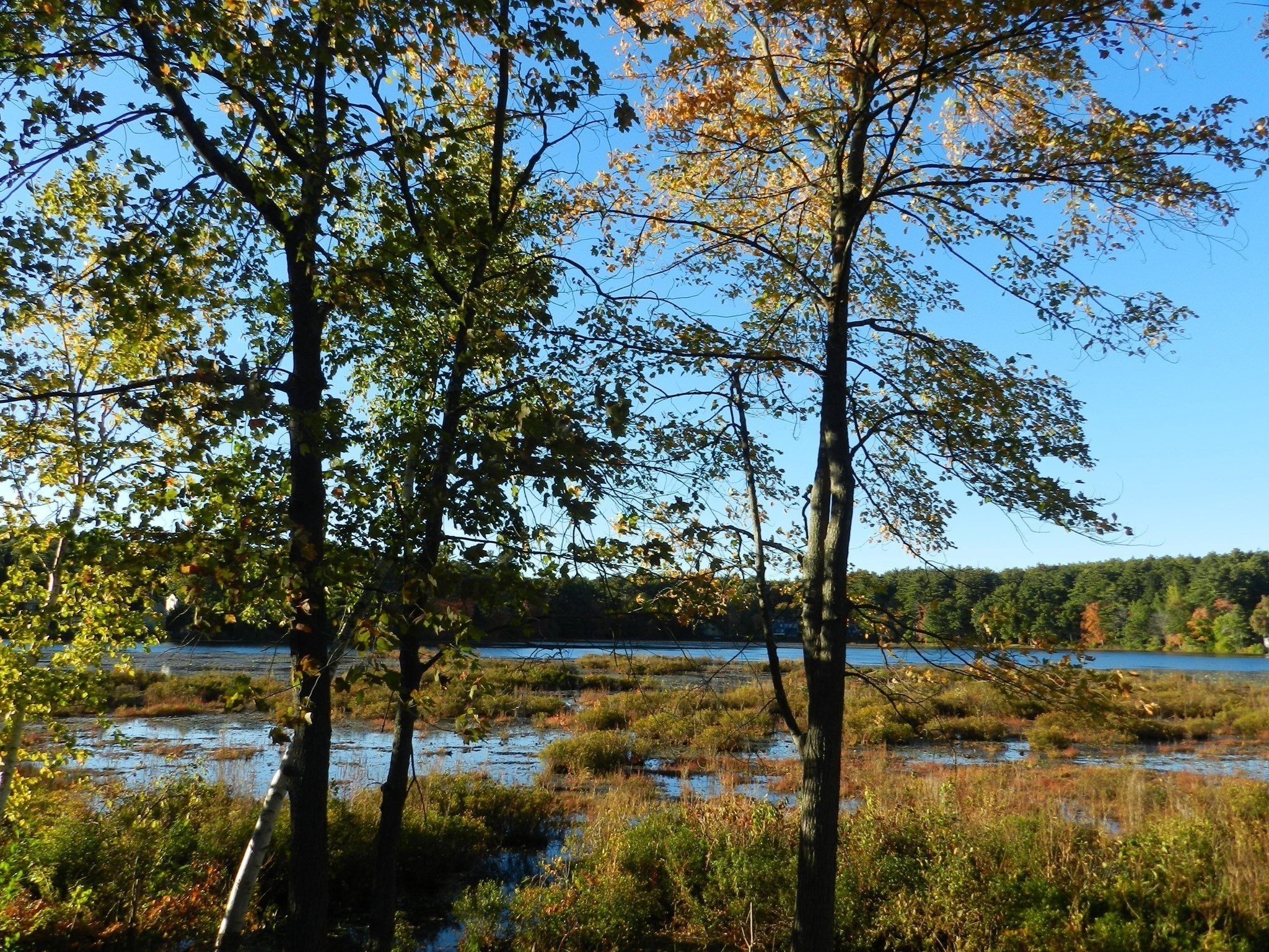 52 Sandy Pond Rd Property Photo 4