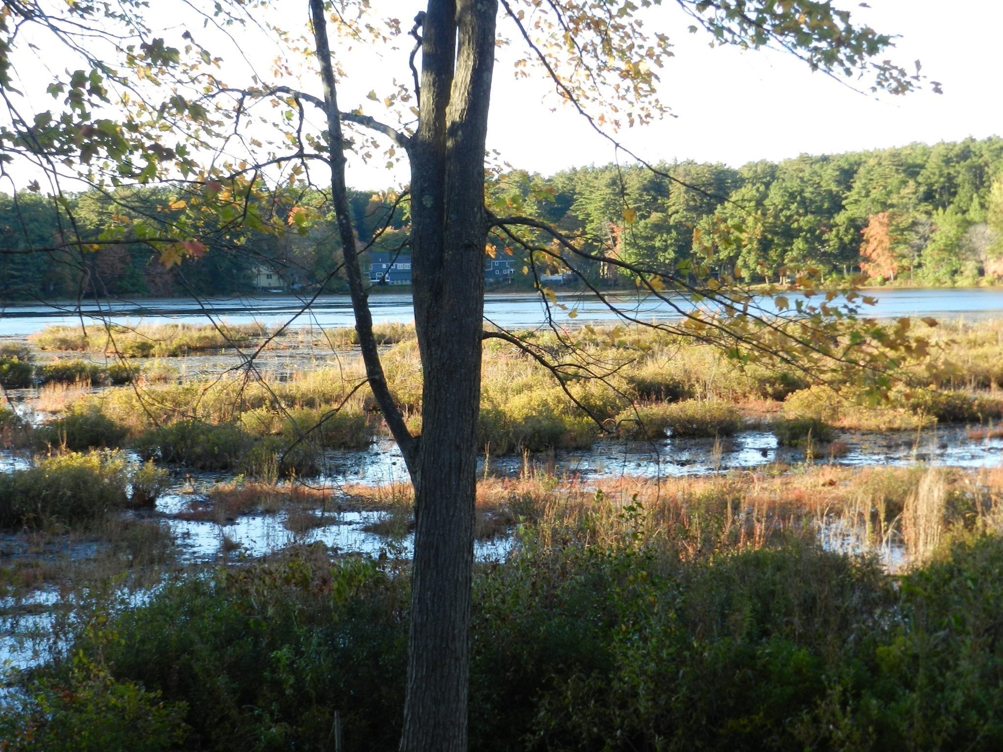 52 Sandy Pond Rd Property Photo 6