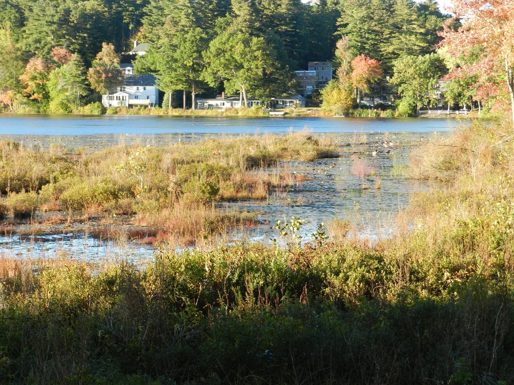 52 Sandy Pond Rd Property Photo 7