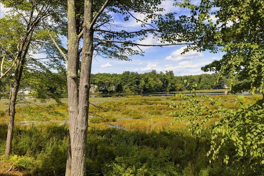 52 Sandy Pond Rd Property Photo 12
