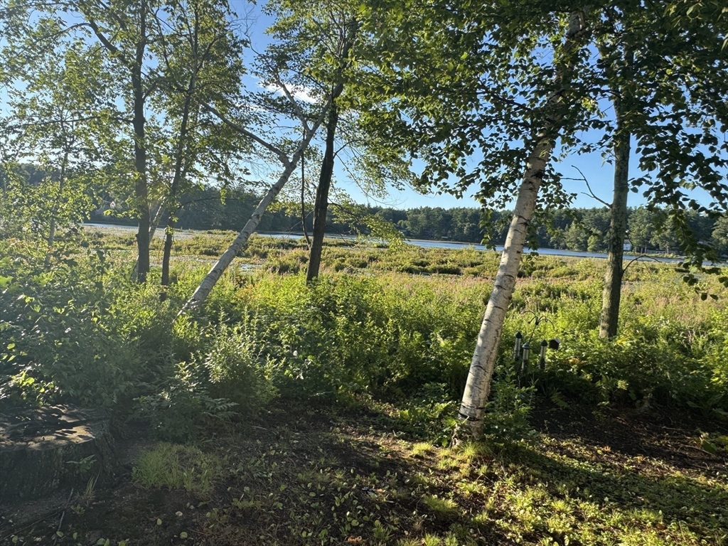 52 Sandy Pond Rd Property Photo 33