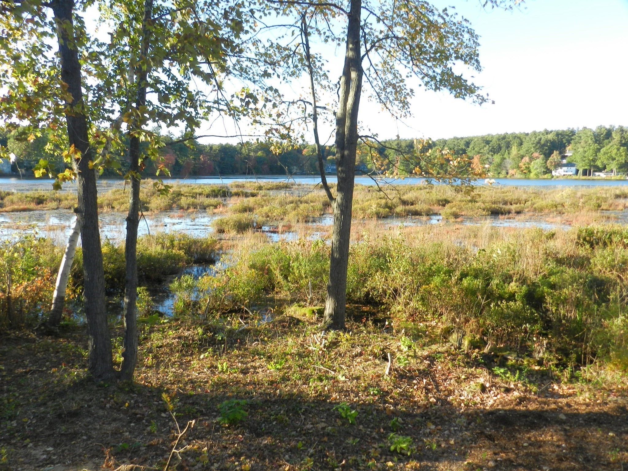 52 Sandy Pond Rd Property Photo 35