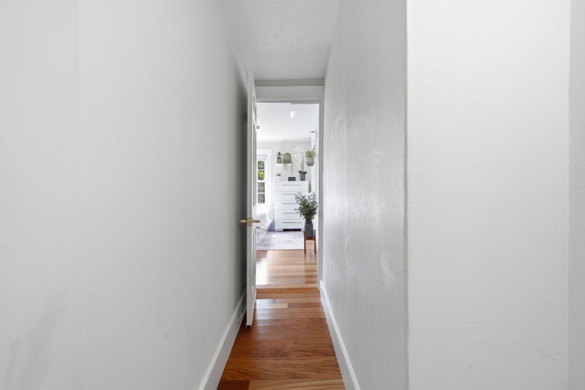 16 Allen Street Property Photo 32