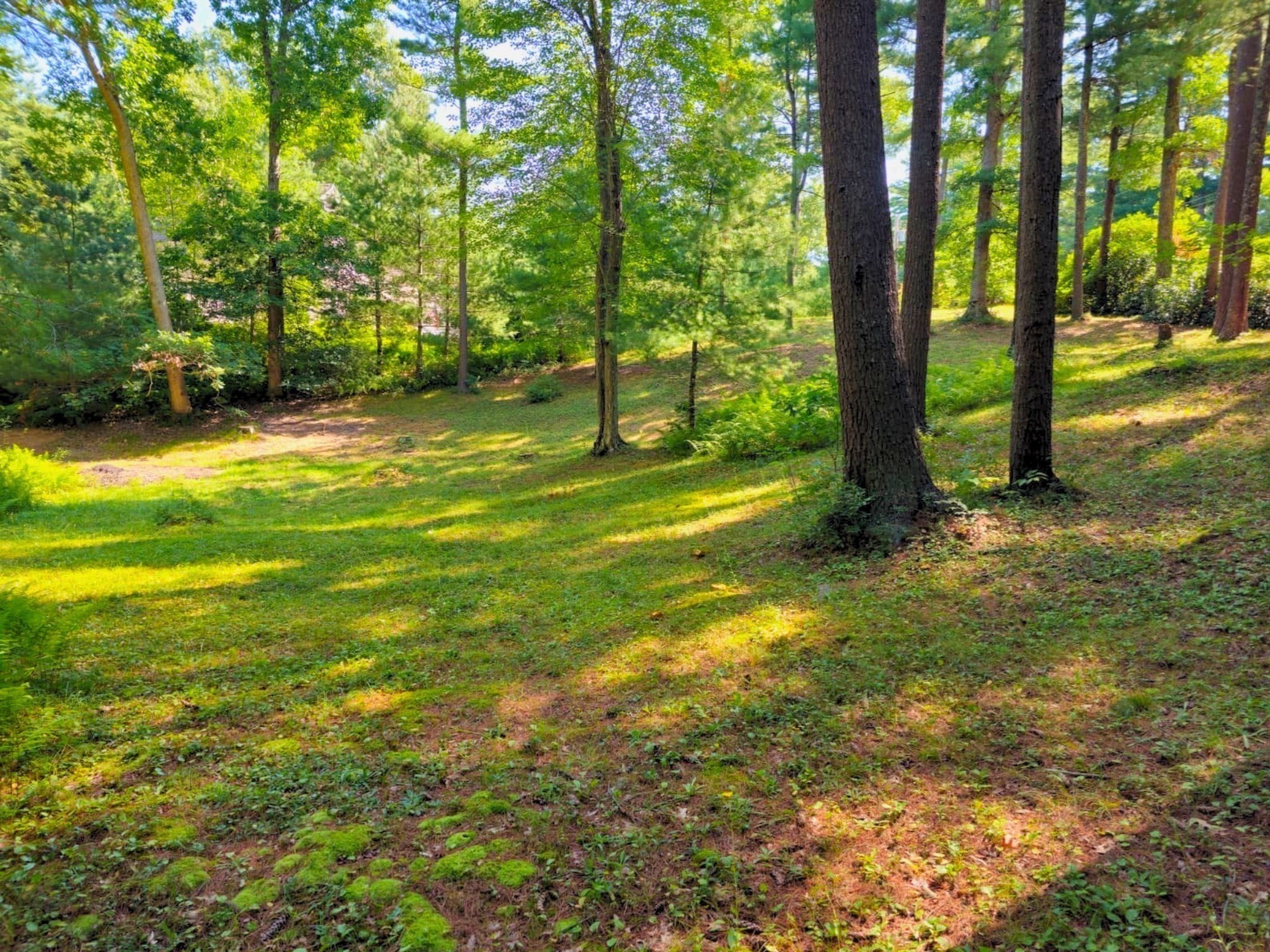 0 Nel Bonney Road Property Photo 3