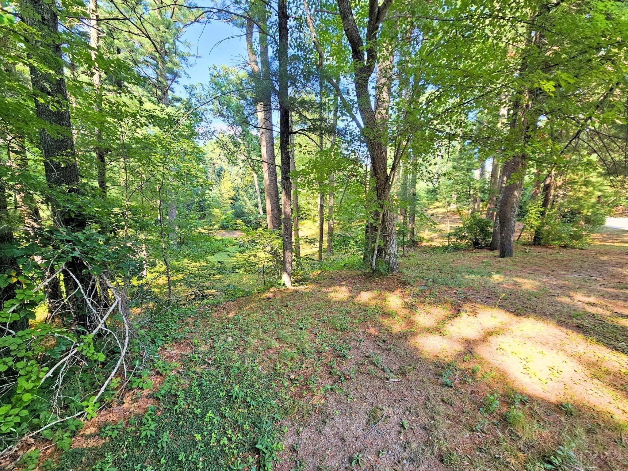 0 Nel Bonney Road Property Photo 8