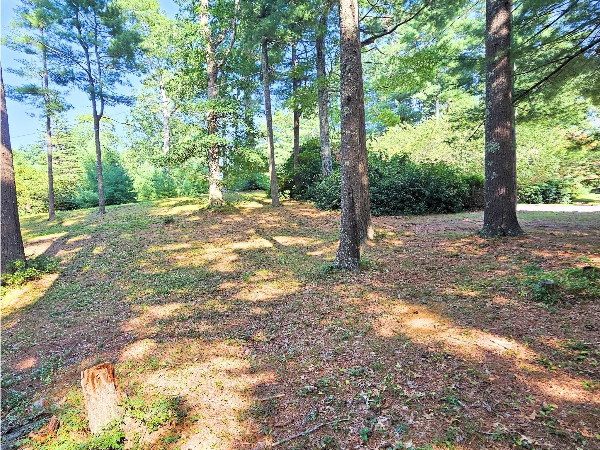 0 Nel Bonney Road Property Photo 9