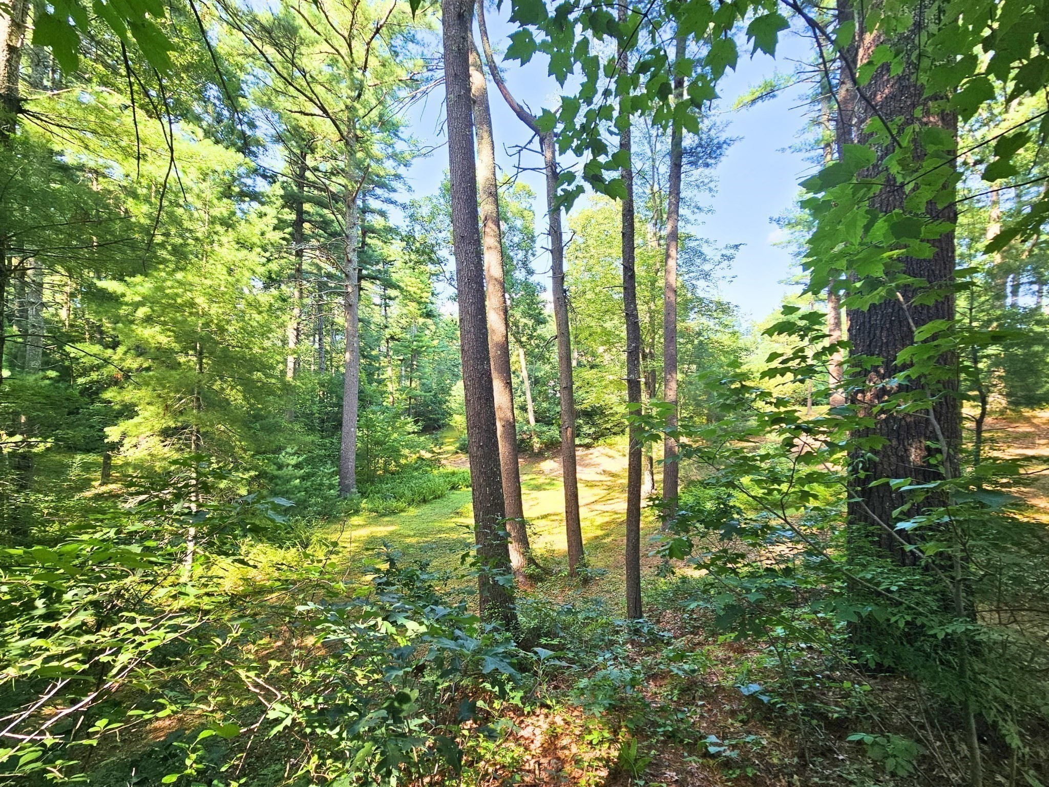 0 Nel Bonney Road Property Photo 10